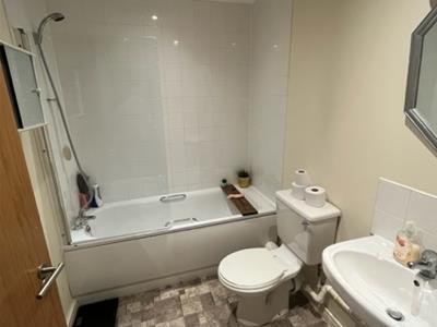 Picture 5